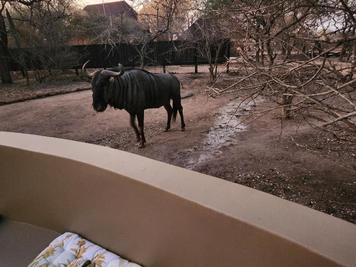 דירות מרלות' פארק Kudus Crest Bush Retreat מראה חיצוני תמונה
