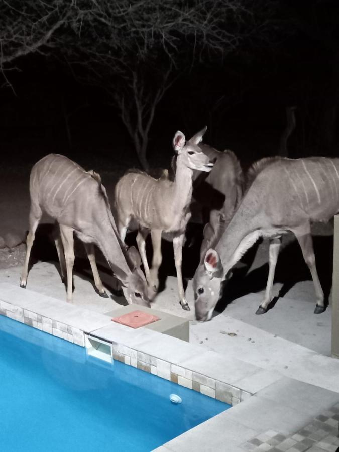 דירות מרלות' פארק Kudus Crest Bush Retreat מראה חיצוני תמונה